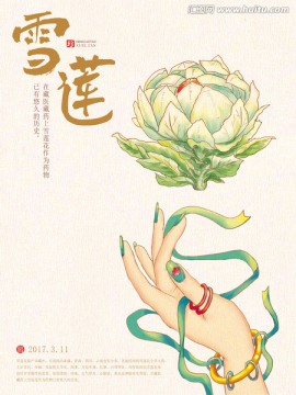 雪蓮 雪蓮插畫