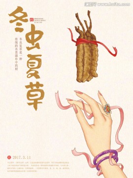 冬中夏草 冬蟲夏草插畫