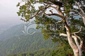 秦岭青华山 高格