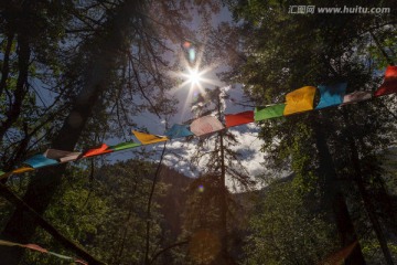 藏族 彩旗 森林 阳光