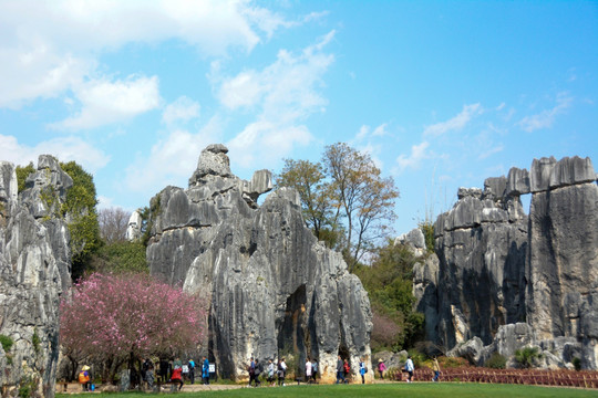 石林景观 云南旅游