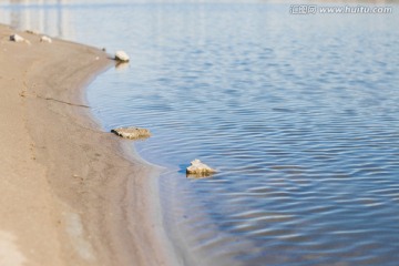 水边