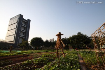 城市菜园中的稻草人