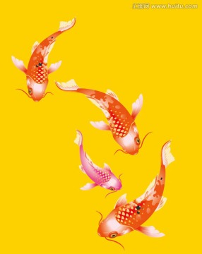 錦鯉