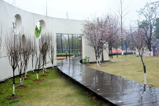 小路 雨中小路