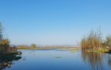 湿地景观