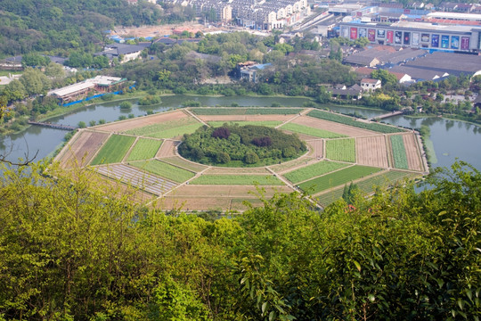 杭州八卦田