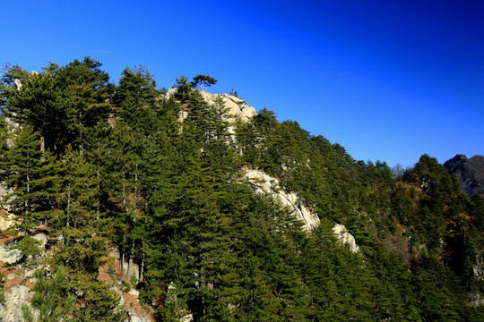 秦岭万华山 高格