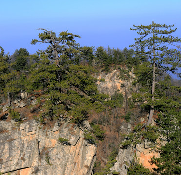 秦岭万华山 高格