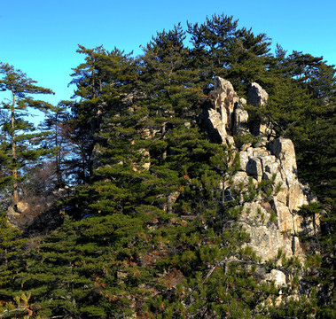 秦岭万华山 高格