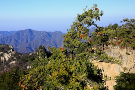 秦岭万华山 高格