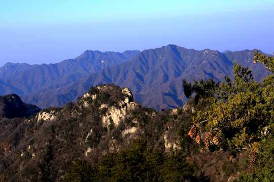 秦岭万华山 高格