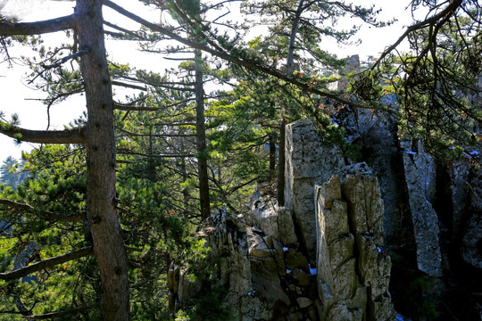 秦岭万华山之巅 高格