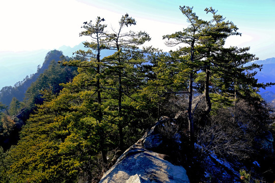 秦岭万华山 高格