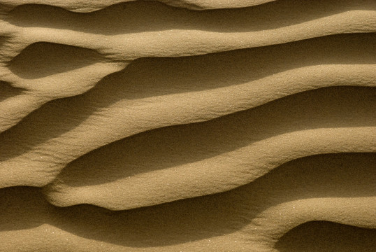 流动的沙漠