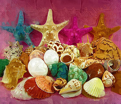 幼儿园装饰画 贝壳