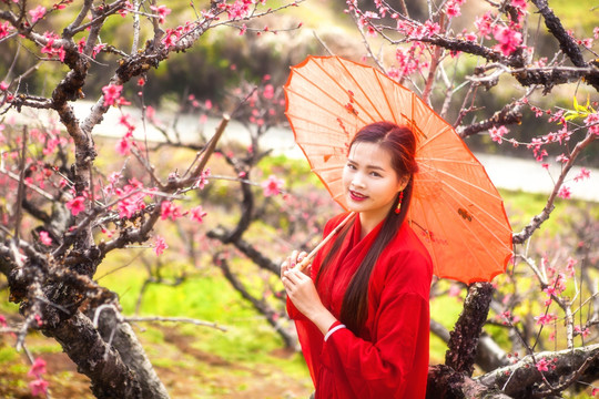 桃花丛中的古典美女模特