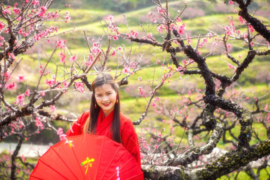 红色古装美女赏花踏青