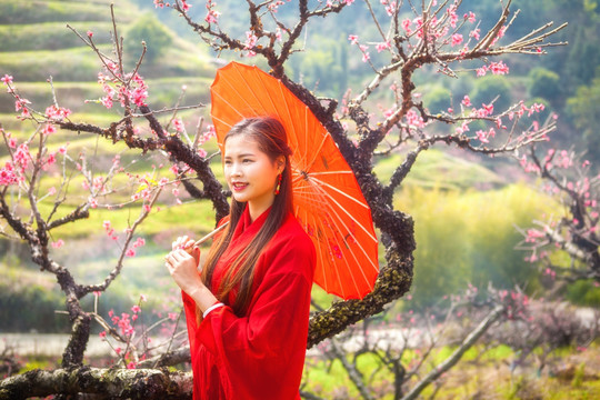 穿红色袍子的美女赏花