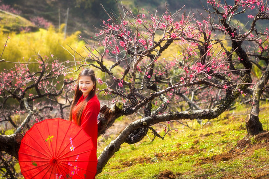 桃花美女人像摄影