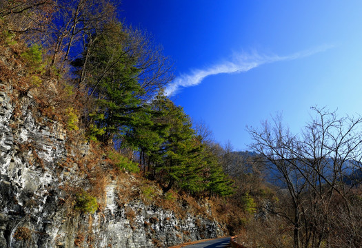 神农架天燕飞龙 高格