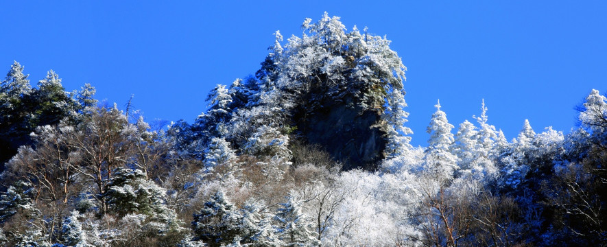 神农架雪淞神韵 高格