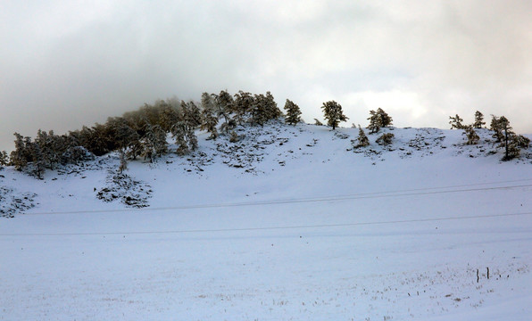 新疆喀纳斯雪景 高格