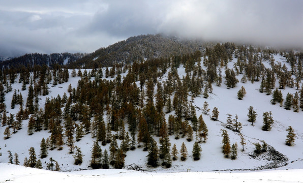 新疆喀纳斯雪景 高格