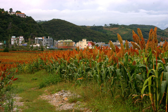 乡村记忆 高格