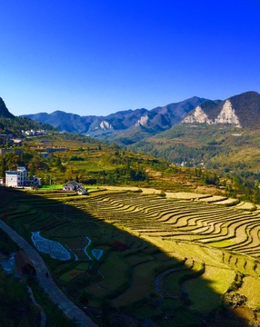 贵州阿沙梯田 