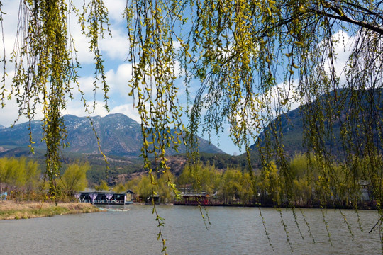 自然风景 高原春色