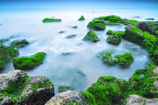 涌动的大海 海的春天 绿色的海