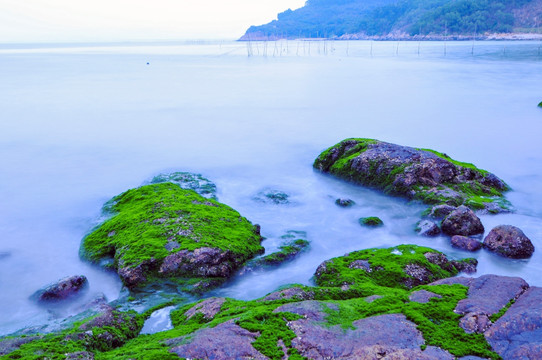 涌动的大海 海的春天 绿色的海