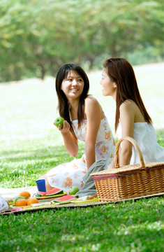 两个年轻女人在野餐