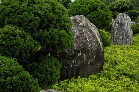 背景岩石景观