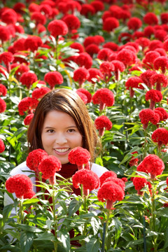 微笑的女人在红色花丛中