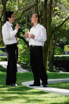 两个男人一起在公园吃午饭