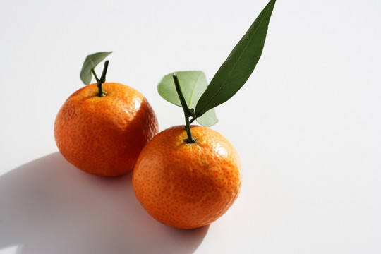 鸳鸯橘子