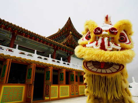 寺庙前的中国舞狮
