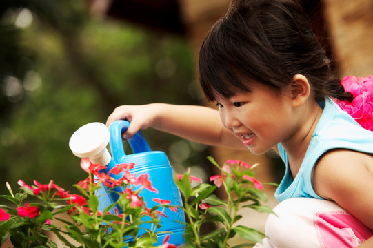 女孩给花浇水