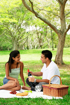 在公园里野餐的夫妇
