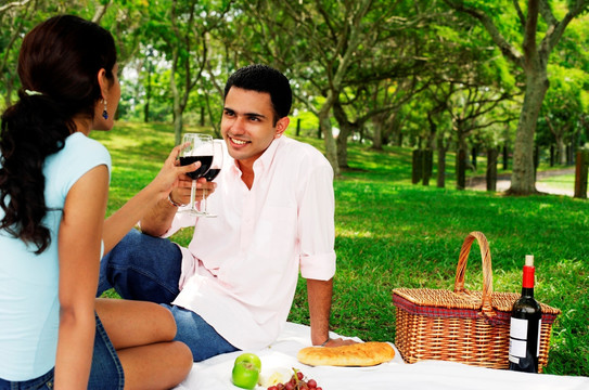 在公园里野餐喝酒的一对夫妇