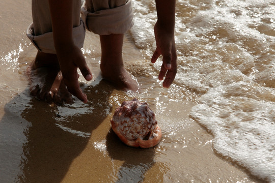 在沙滩上捡贝壳的小男孩