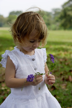 拿着紫色花的小女孩