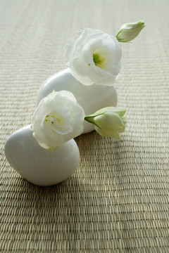 两个花瓶与白桔梗花
