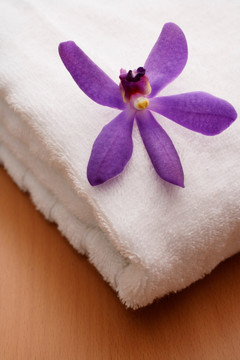 白巾上的紫兰花