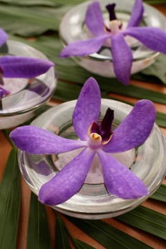 紫兰花小玻璃碗