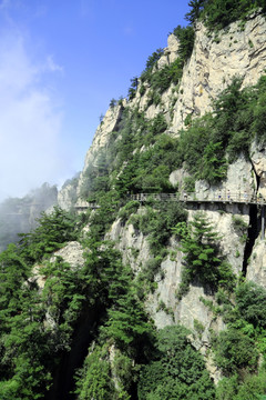 老君山风景 黄山栈道 黄山风光