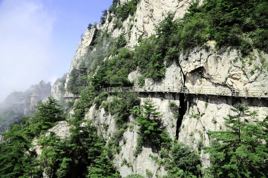 老君山风景 栈道 黄山风光