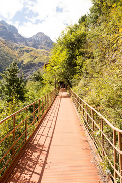 栈道 高山 景区